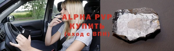 стаф Богданович