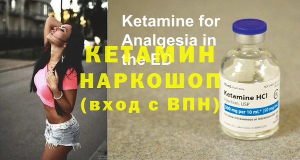 стаф Богданович
