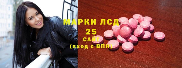 стаф Богданович