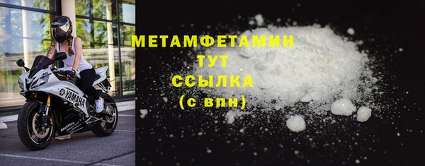 стаф Богданович