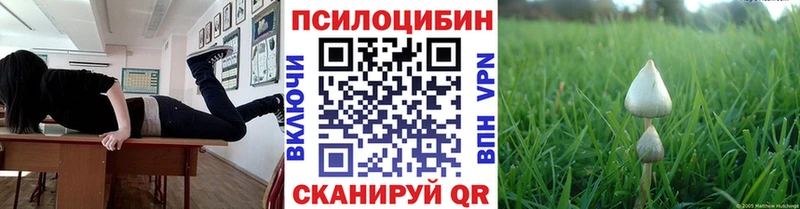 Галлюциногенные грибы ЛСД  сколько стоит  Кашира 
