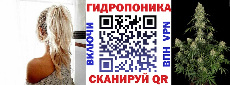Марихуана план дарк нет какой сайт Кашира купить наркотик
